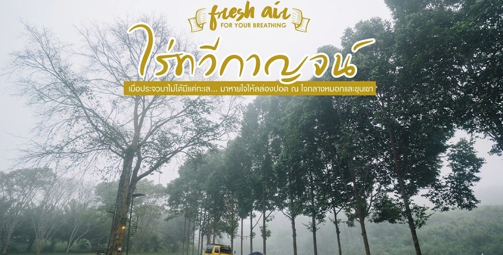 ไร่ทวีกาญจน์
