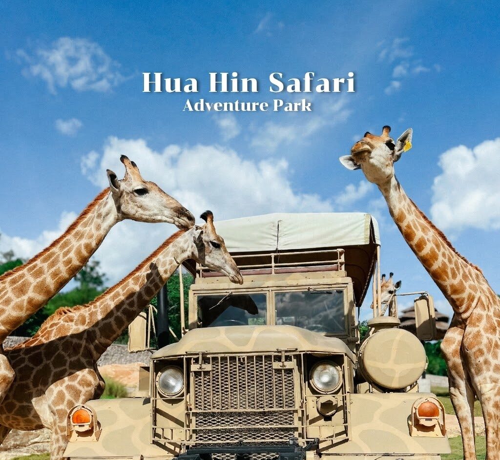 HUA HIN SAFARI