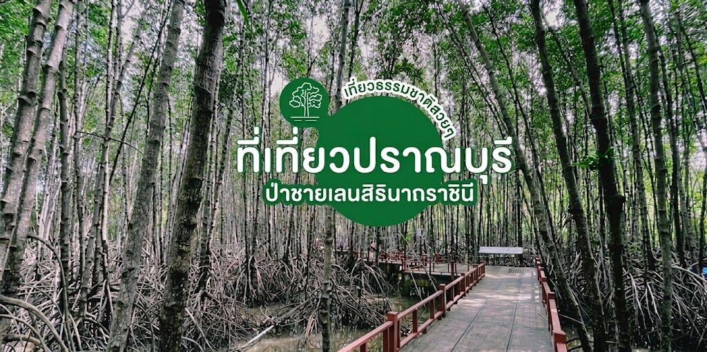 ศุูนย์การเรียนรู้ระบบนิเวศป่าชายเลนสิรินาถราชินี