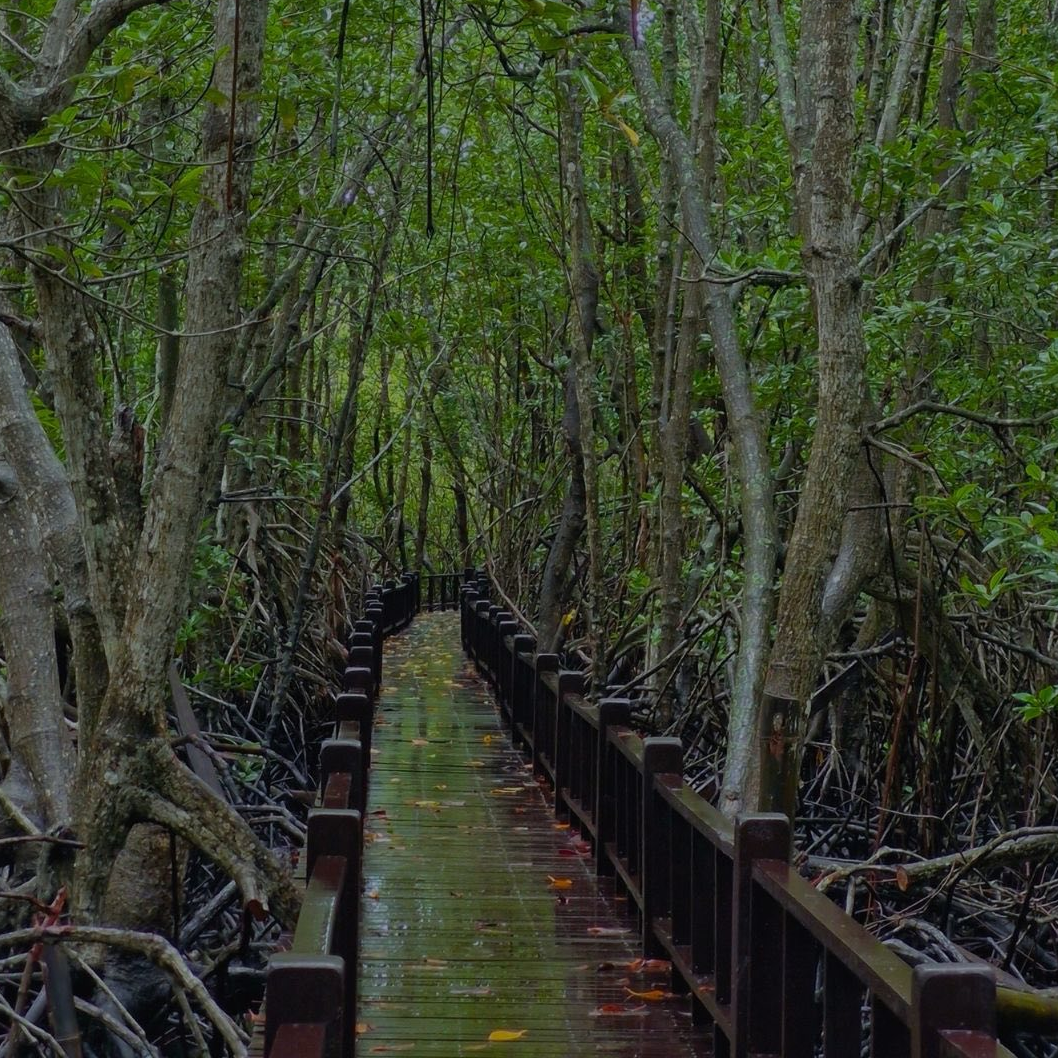 “สะพานไม้ไผ่ ”ที่เที่ยวประจวบสุดชิล image