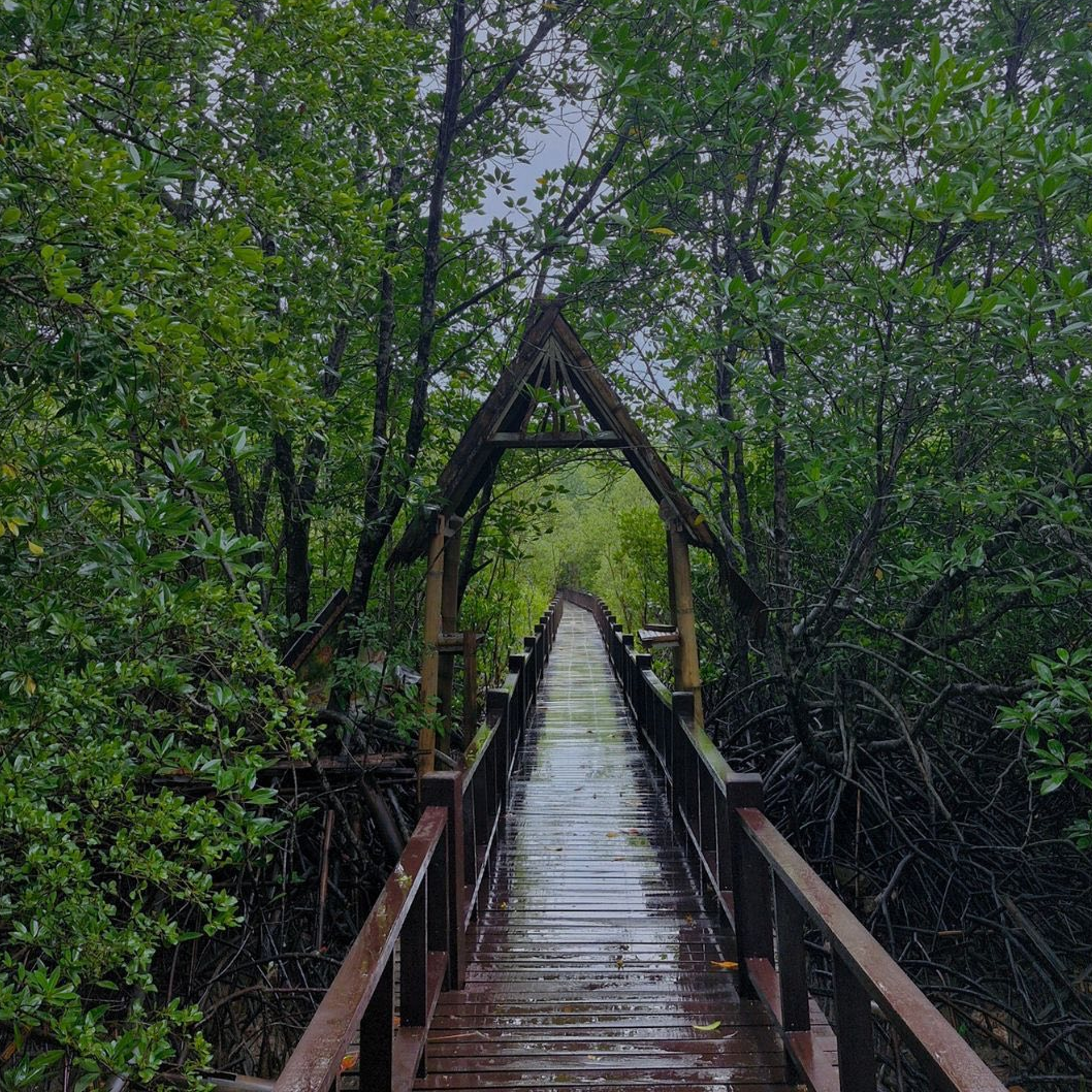 “สะพานไม้ไผ่ ”ที่เที่ยวประจวบสุดชิล image