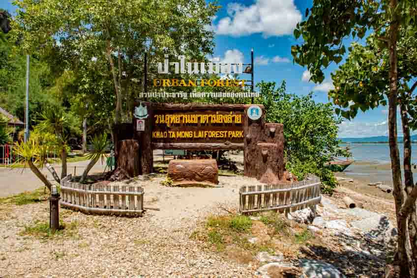 โอบกอดขุนเขา“วนอุทยานเขาตาม่องลาย” image