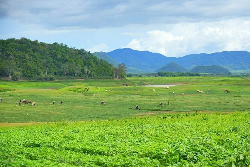 ปล่อยใจไปกับสัตว์เลี้ยง “จับแพะชนแกะ" image