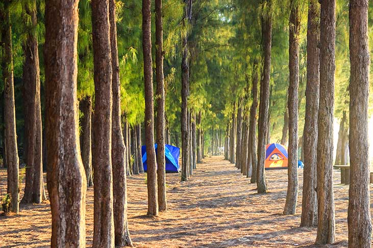 พ้นความเหนื่อยล้า“อุทยานแห่งชาติหาดวนกร” image