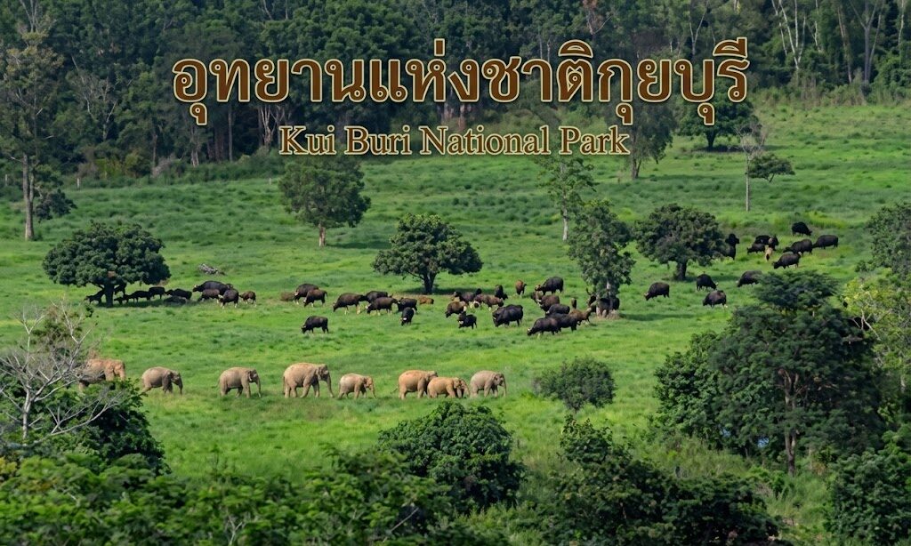 อุทยานแห่งชาติกุยบุรี ตำบลหาดขาม อำเภอกุยบุรี ประจวบคีรีขันธ์